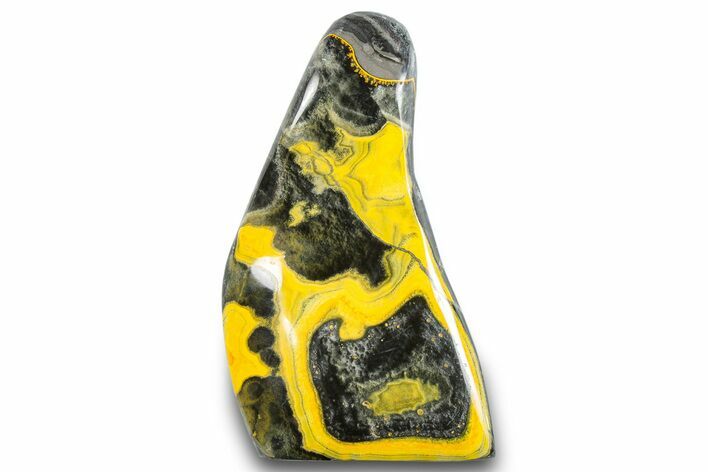 Very Vibrant, Free-Standing Polished Bumblebee Jasper #284194